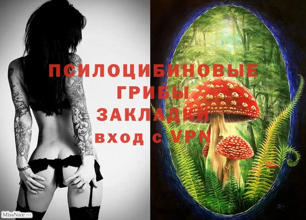 COCAINE Михайлов