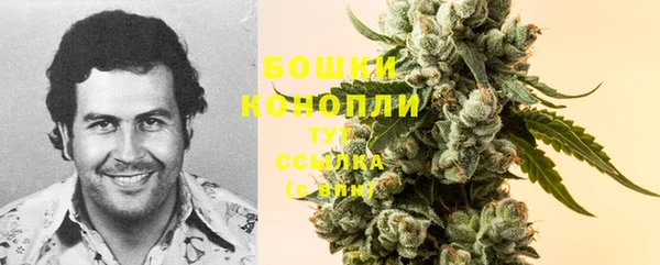 гидропоника Мегион