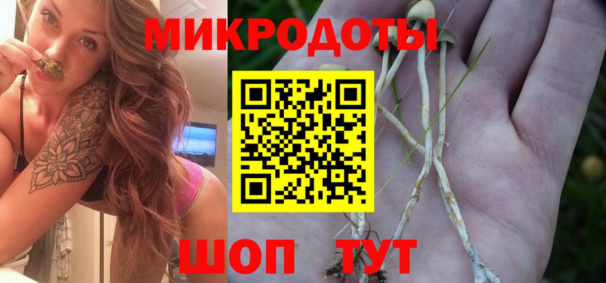 Псилоцибиновые грибы прущие грибы  Домодедово 