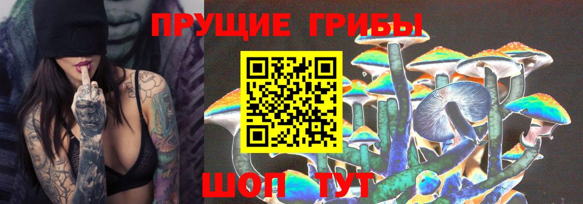 Псилоцибиновые грибы прущие грибы  где продают наркотики  Домодедово  Вход с VPN 
